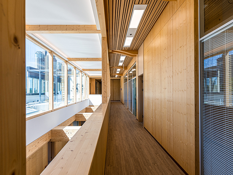 Paneles decorativos de pared de madera maciza para interiores